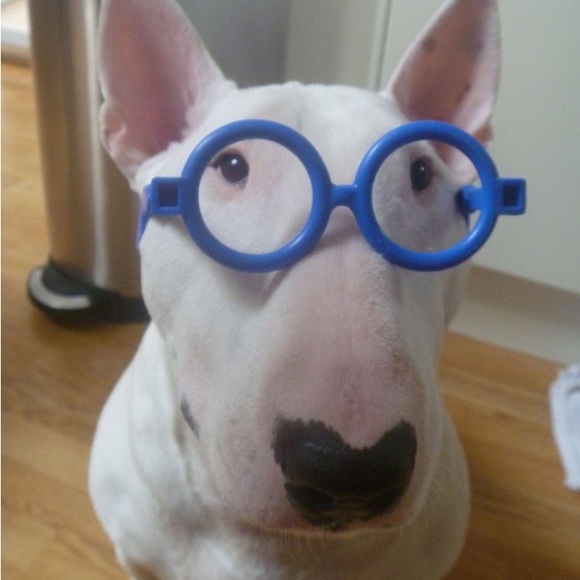 Meet your Posher, Anya - Picture 1 of 1